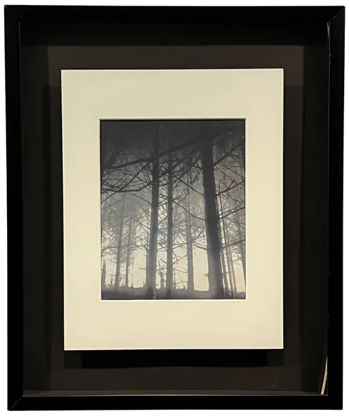Night Trees In Black Frame