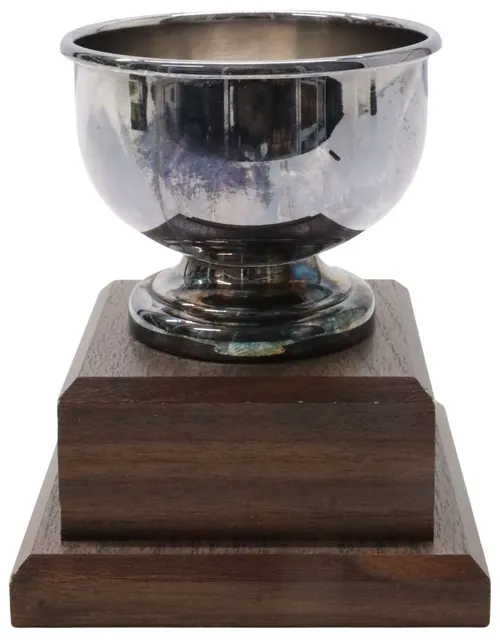 Silver Plated Trophy Cup On Wood Base