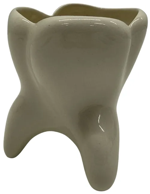 Human Tooth Ceramic Dental Pen Cup