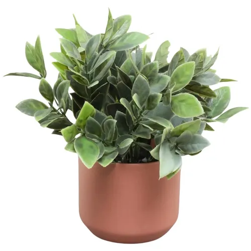 Artificial Plant n Coral Pot
