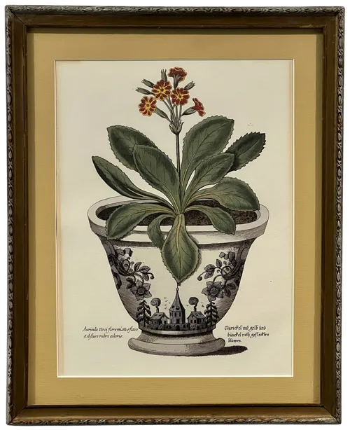 Potted Flower Illustration II In Wood Frame