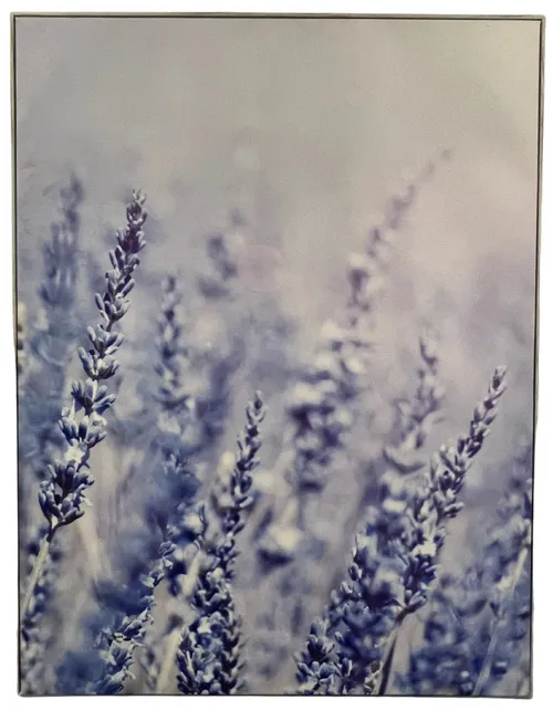 Lilac Field On Canvas With Silver Frame