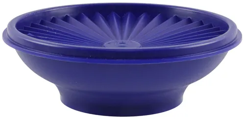 Electric Blue Plastic Storage Container With Lid