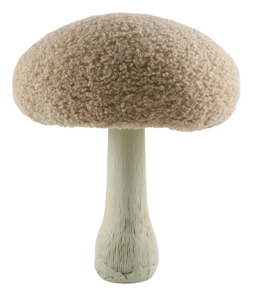 Apricot Mushroom