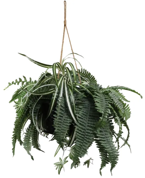 Hanging Artificial Fern & Spider Plant