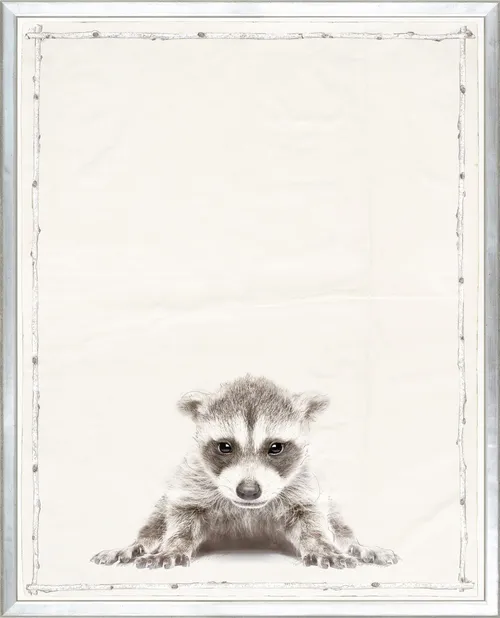 Baby Raccoon Photograph With Silver Frame