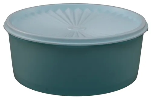 Light Blue  Plastic Reusable Plastic Storage Container
