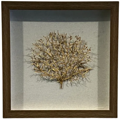 Gold Fan Coral In Wood Shadowbox Frame