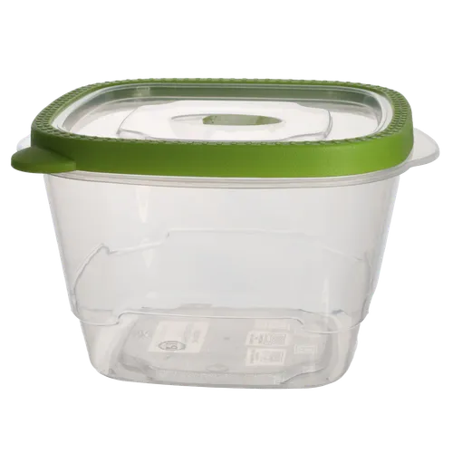 Pickle Green & Clear Reusable Container With Lid - Large