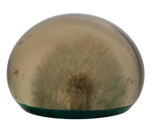 Acrylic Paperweight With Dandelion & Green Base