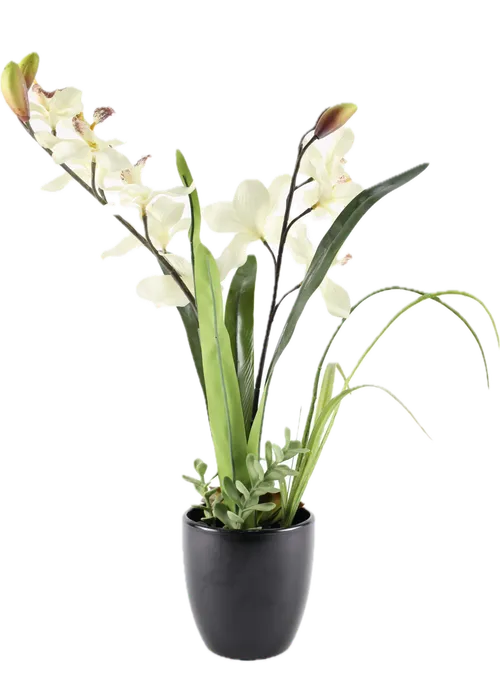 Artificial White Orchid In Black Ceramic Pot