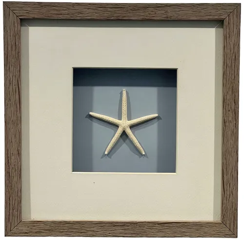 Natural Starfish In Wood Shadowbox Frame