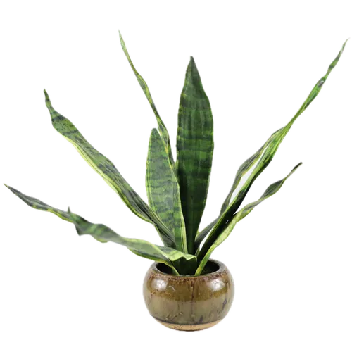Artificial Snake Plant In Glazed Grey & Brown Pot
