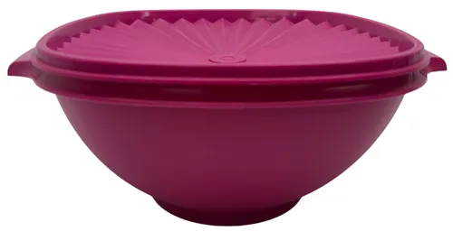 Fuchsia Plastic Heritage Storage Container With Lid
