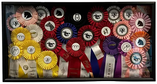 Equestrian Rosette Ribbons In Black Shadowbox Frame