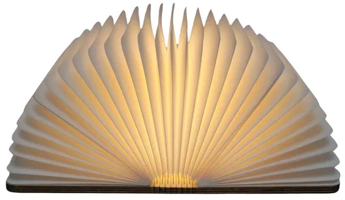 Magic Light Up Book Lamp