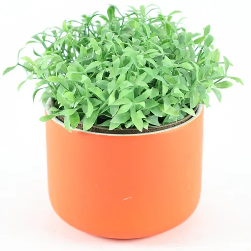 Artificial Bridal Creeper Plant In Orange Ceramic Pot
