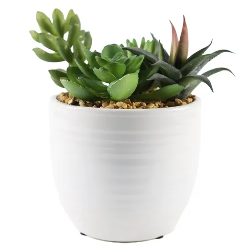 Artificial Various Succulents In White Gloss Ribbed Ceramic Vase