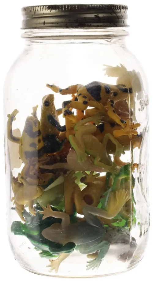 Clear Glass Jar With Various Rubber Frogs & Toads