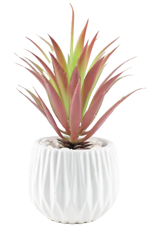 Artificial Burnt Pineapple Plant In White Ceramic Pot