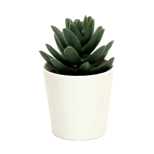 Artificial Spring Glow Succulent Plant In White Pot