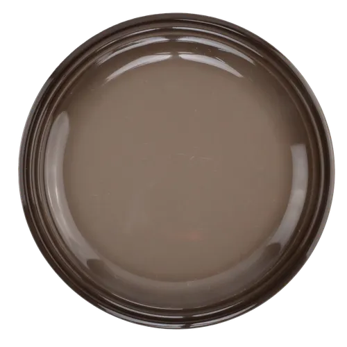 Cocoa Brown Dinner Plate