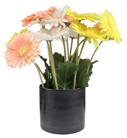 Artificial Gerbera In Black Ceramic Pot