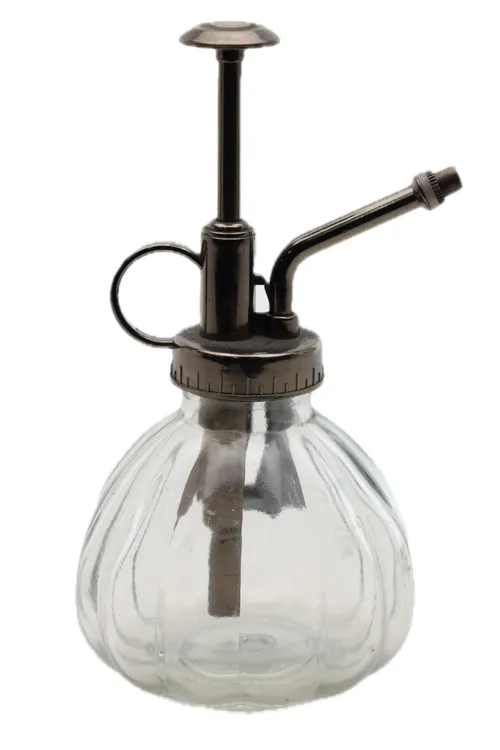 Clear Glass Plant Mist Sprayer