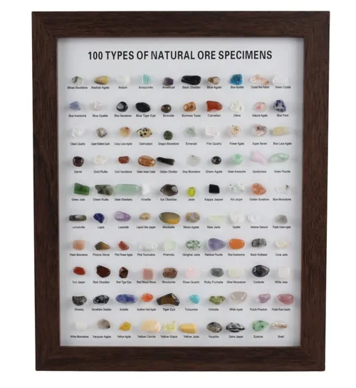 One Hundred Types Of Oe Specimens In Wood Frame