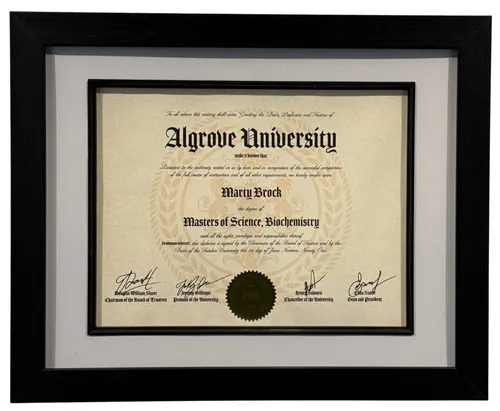 Algrove University Diploma In Black Frame 