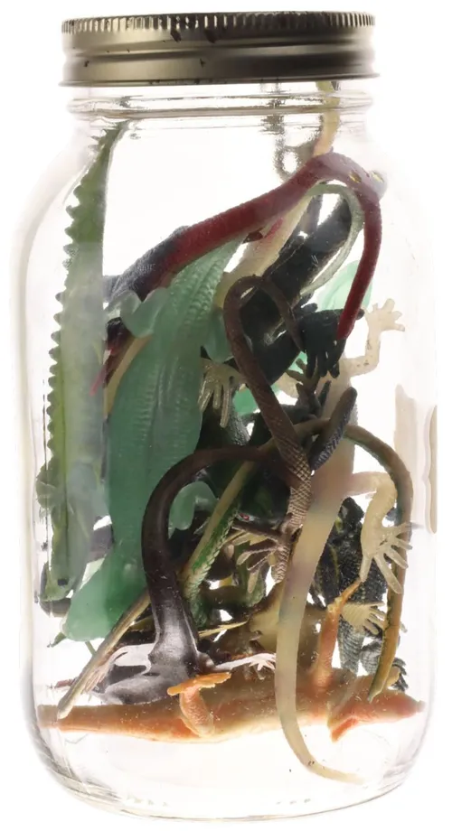 Clear Glass Jar With Rubber Lizards & Insects