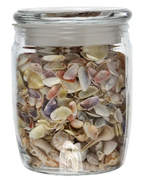 Clear Glass Canister With Lid Containing Seashells