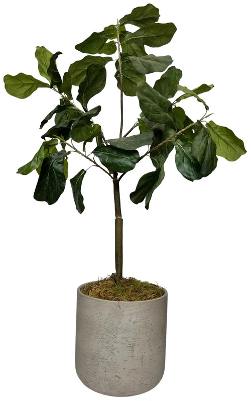 Artificial Fiddle Leaf Fig Plant In Round Concrete Planter