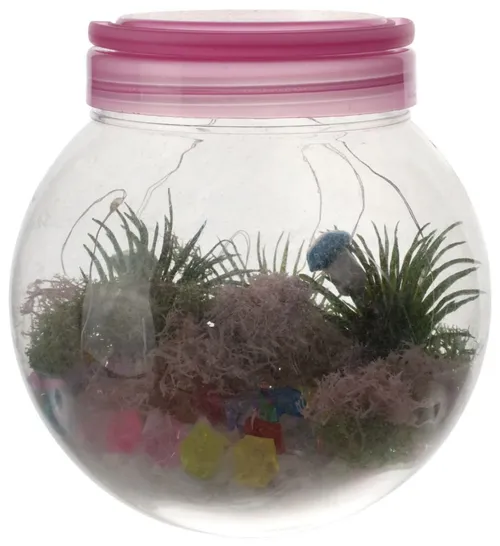 Miniature Fairy Garden In Clear & Pink Container