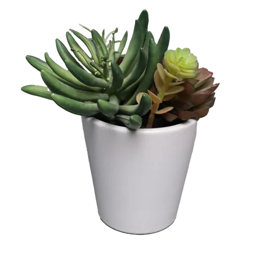 Artificial Succulents In White Ceramic Pot