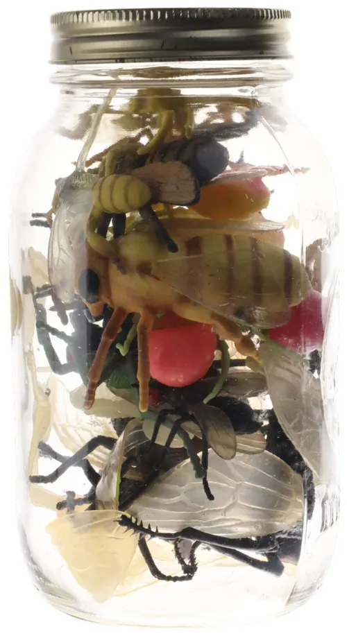 Clear Glass Jar With Rubber Bees & Flies