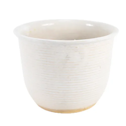 Glazed Off White Ceramic Plant Pot