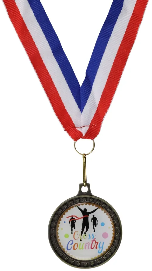Award Medal On Ribbon - LL