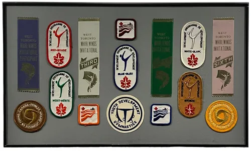 Ribbon Awards & Badges In Black Frame