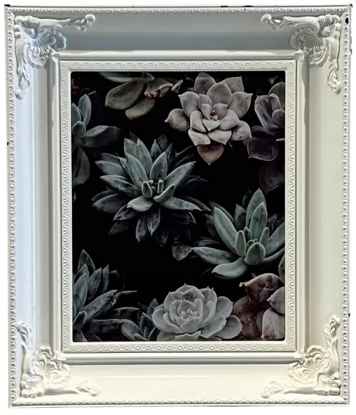 Succulents II In White Ornate Frame