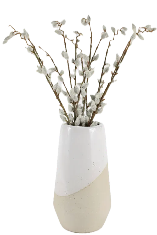 Pussy Willow In Two Tone Beige & White Ceramic Vase