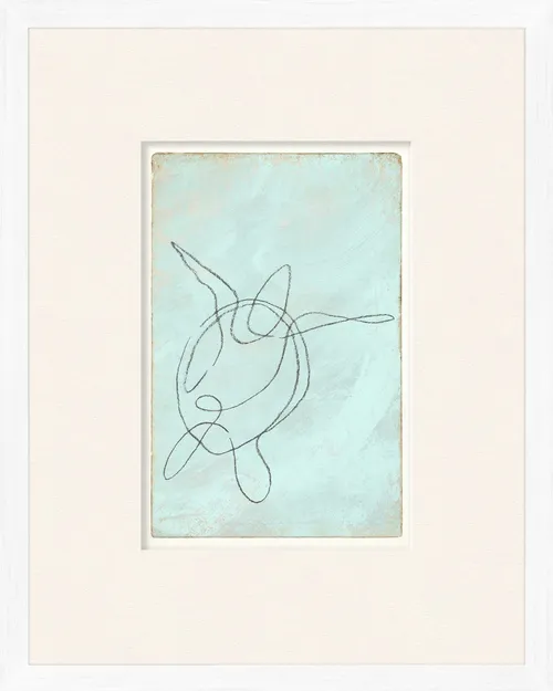 Line Drawing Turtle On Paper With White Frame