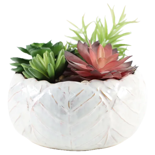 Artificial Succulent Plants In Glazed Leaf Ceramic Pot