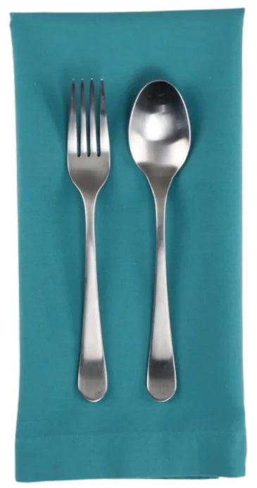Turquoise Napkin