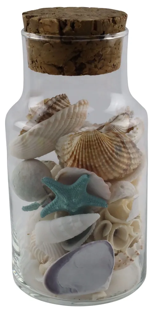 Glass Container With Cork Lid Containing Sea Shells