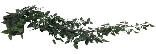 Artificial Ivy Plant With Black Pot