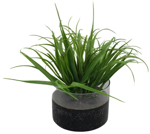 Artificial Grasses In Glass Container