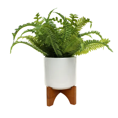 Artificial Boston Fern Plant In White Ceramic Pot With Wooden Legs