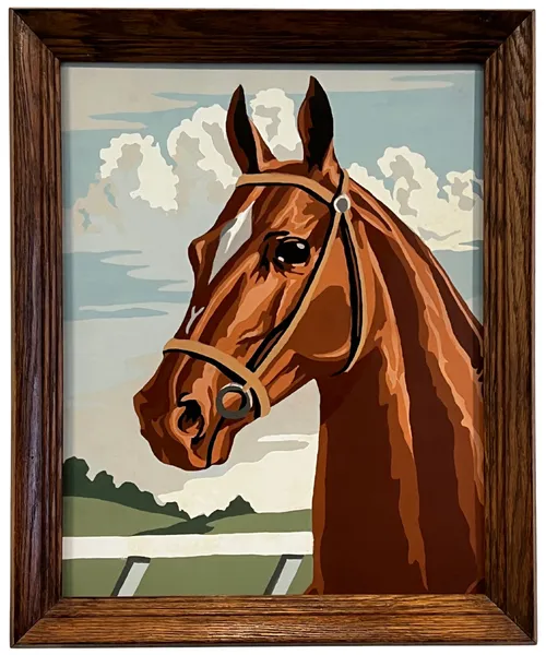 Horse Paint By Number In Wood Frame