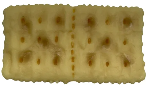 Artificial Double Attached Cracker